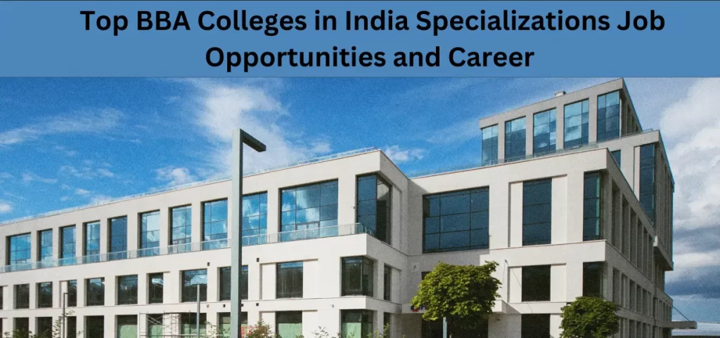 Top BBA Colleges in India: Specializations Job Opportunities and Career
