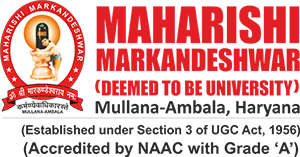 Maharishi Markandeshwar university